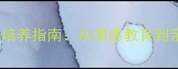 图片 0-6岁幼儿心理健康培养指南：从情感教育到亲子互动的实践策略