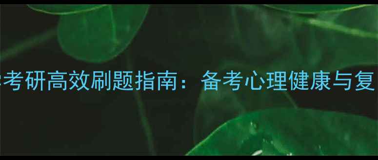 图片 312心理学考研高效刷题指南：备考心理健康与复习策略全1