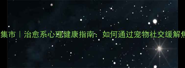 图片 ✨小狗集市｜治愈系心理健康指南：如何通过宠物社交缓解焦虑？1