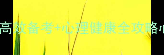 图片 ✨理科生考研心理学必看！高效备考+心理健康全攻略心理学考研上岸经验分享🌟1