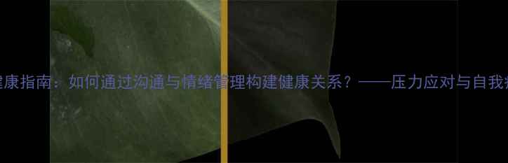 图片 人际心理健康指南：如何通过沟通与情绪管理构建健康关系？——压力应对与自我疗愈全攻略