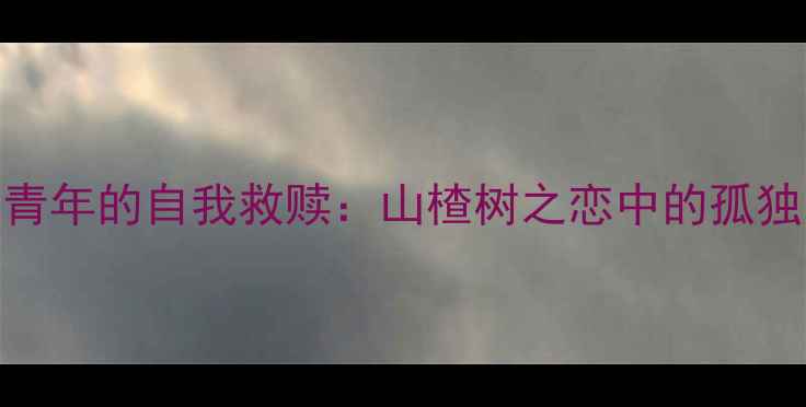 图片 从老三心理看当代青年的自我救赎：山楂树之恋中的孤独、爱情与成长启示