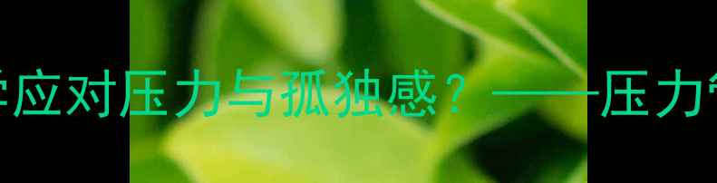 图片 假期心理健康调整指南：如何科学应对压力与孤独感？——压力管理、社交修复与自我关怀全攻略