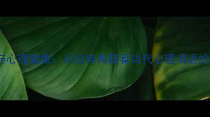 图片 国学智慧与心理健康：从经典典籍看当代心理调适的实践指南1