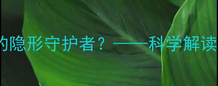 图片 好奇心如何成为心理健康的隐形守护者？——科学解读心理调节的三大黄金法则1