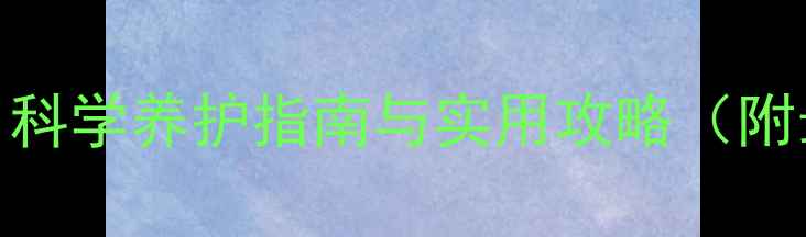 图片 宠物心理健康：科学养护指南与实用攻略（附最新研究数据）