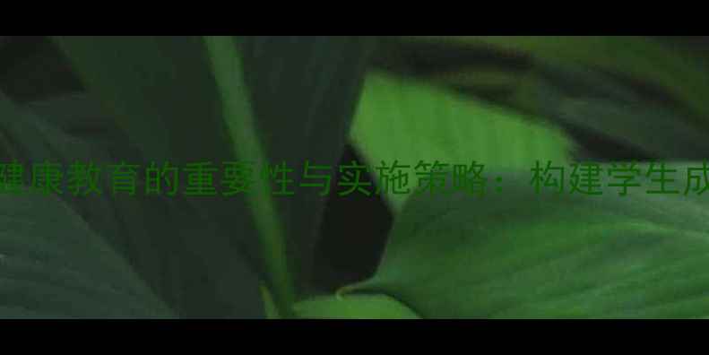 图片 小学心理健康教育的重要性与实施策略：构建学生成长防护网
