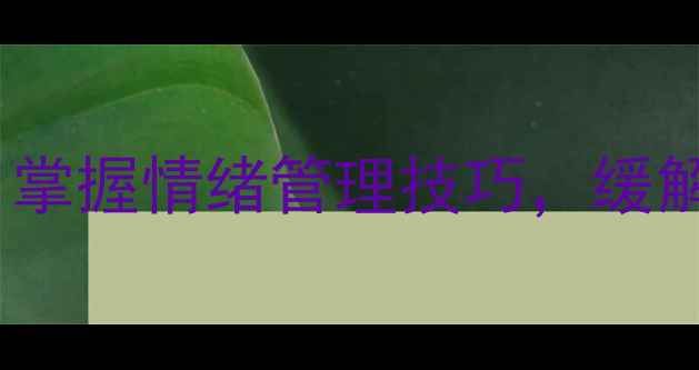 图片 微表情识别与心理健康：掌握情绪管理技巧，缓解压力与焦虑的实用指南1