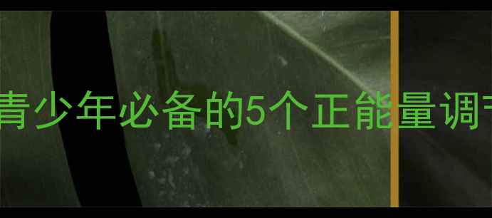 图片 心理健康与人生发展：青少年必备的5个正能量调节指南（附实用案例）1