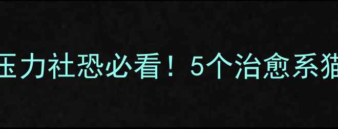 图片 心理健康动漫猫｜压力社恐必看！5个治愈系猫咪IP助你释放情绪