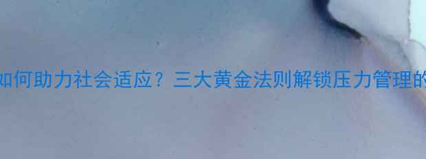 图片 心理健康如何助力社会适应？三大黄金法则解锁压力管理的正确姿势
