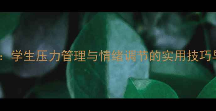 图片 心理健康教育课：学生压力管理与情绪调节的实用技巧与课堂实践案例1