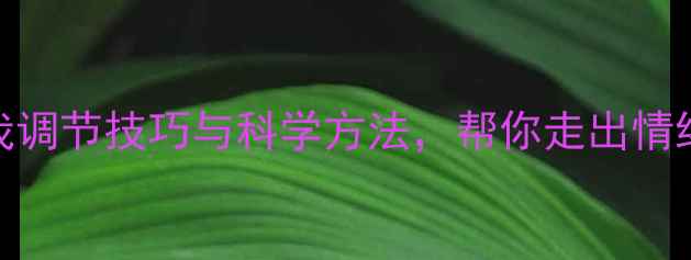 图片 心理健康的聊天：自我调节技巧与科学方法，帮你走出情绪低谷（含最新数据）