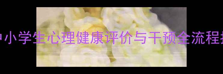 图片 心理健康考核教案：中小学生心理健康评价与干预全流程指南（附实操工具包）