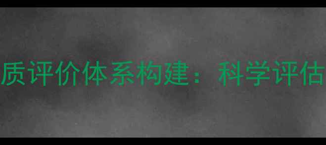 图片 心理健康视角下的综合素质评价体系构建：科学评估五大核心指标与实操指南