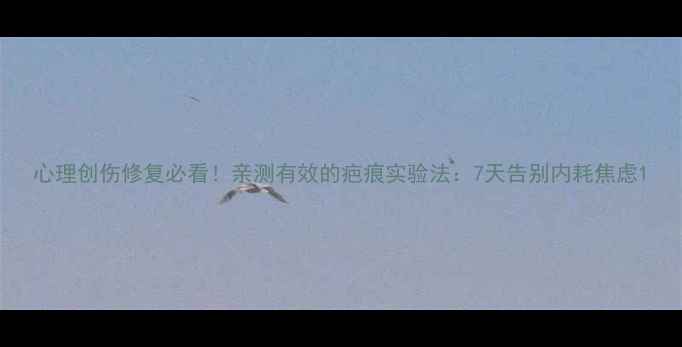 图片 心理创伤修复必看！亲测有效的疤痕实验法：7天告别内耗焦虑1