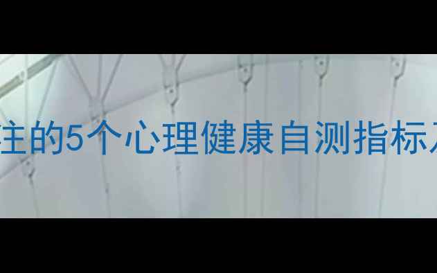 图片 心理咨询师最关注的5个心理健康自测指标及科学调节指南1