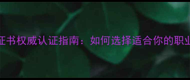 图片 心理咨询师证书权威认证指南：如何选择适合你的职业发展路径？