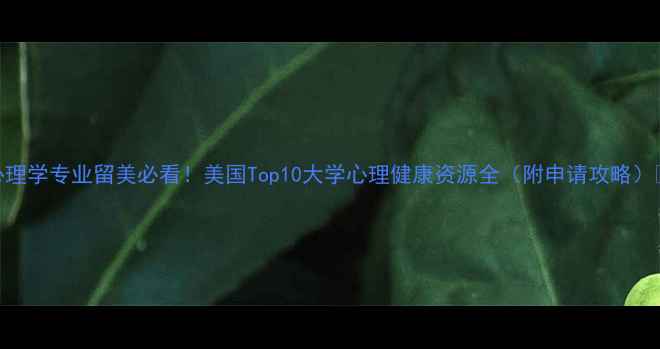 图片 心理学专业留美必看！美国Top10大学心理健康资源全（附申请攻略）🌟
