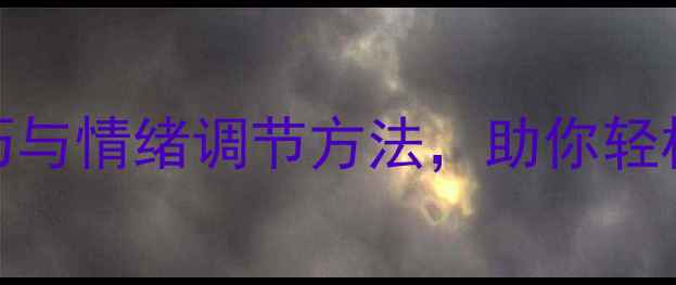 图片 心理学讲座心得：推荐压力管理技巧与情绪调节方法，助你轻松应对现代生活挑战（附实用案例）