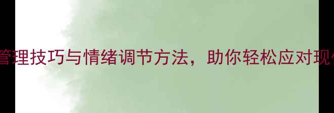 图片 心理学讲座心得：推荐压力管理技巧与情绪调节方法，助你轻松应对现代生活挑战（附实用案例）1