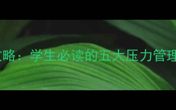 图片 新联学院心理健康全攻略：学生必读的五大压力管理策略与情绪调节指南1