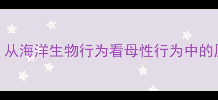 图片 海豚妈妈心理健康：从海洋生物行为看母性行为中的压力管理与自我疗愈