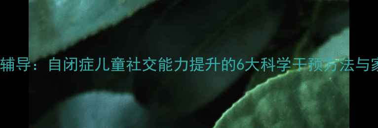 图片 特殊学校心理辅导：自闭症儿童社交能力提升的6大科学干预方法与家校共育指南1