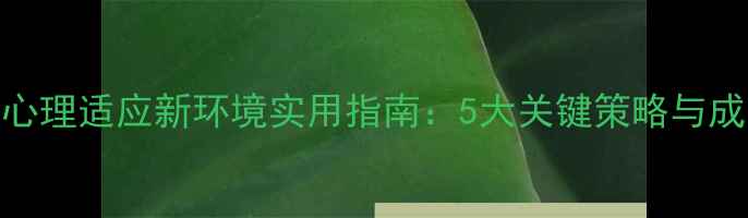 图片 高中生心理适应新环境实用指南：5大关键策略与成长建议