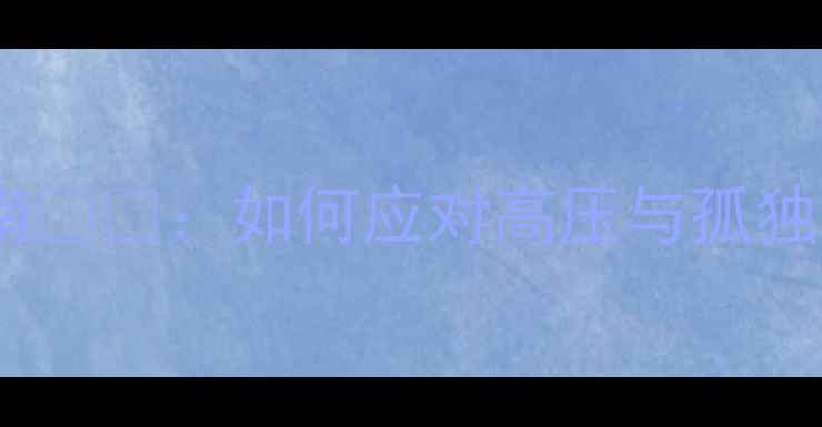 图片 高官心理健康指南💼🧠：如何应对高压与孤独？5个科学调节法