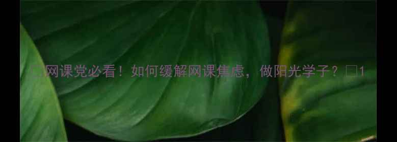 图片 🌟网课党必看！如何缓解网课焦虑，做阳光学子？🌟1