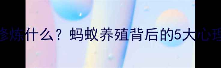 图片 🌿养蚂蚁的人都在偷偷修炼什么？蚂蚁养殖背后的5大心理健康真相｜科学解读🌿