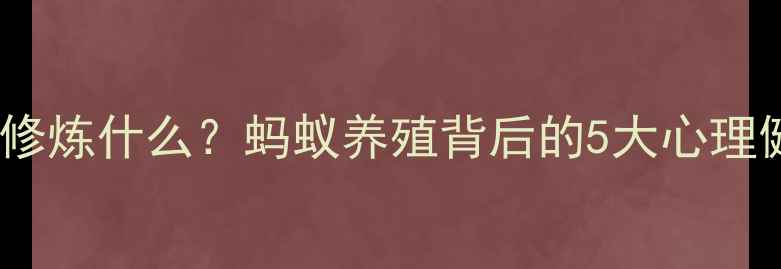 图片 🌿养蚂蚁的人都在偷偷修炼什么？蚂蚁养殖背后的5大心理健康真相｜科学解读🌿1
