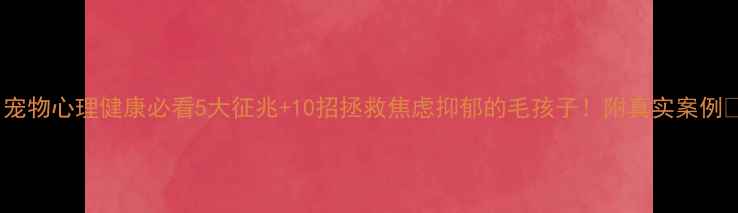 图片 🐾宠物心理健康必看5大征兆+10招拯救焦虑抑郁的毛孩子！附真实案例🐶1