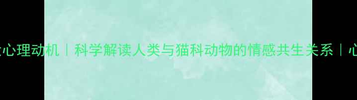 图片 🐾想养猫的5大心理动机｜科学解读人类与猫科动物的情感共生关系｜心理健康指南🌿