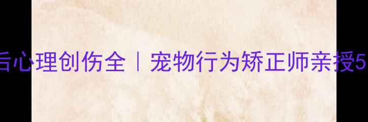 图片 🐾狗狗被打后心理创伤全｜宠物行为矫正师亲授5步恢复法🐶1