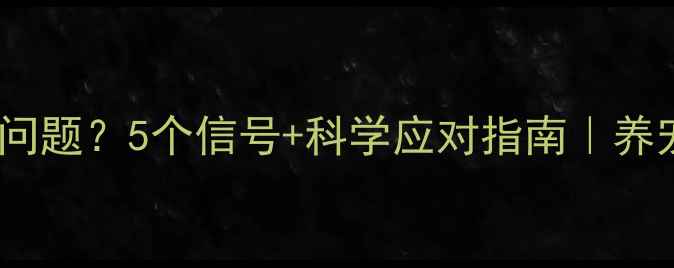 图片 📚如何判断狗狗有心理问题？5个信号+科学应对指南｜养宠人必看心理健康手册1