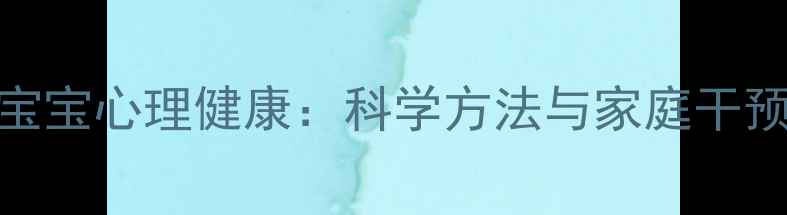 图片 0-3岁宝宝心理健康：科学方法与家庭干预指南2