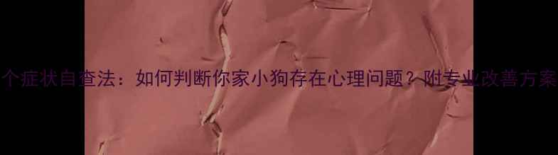 图片 5个症状自查法：如何判断你家小狗存在心理问题？附专业改善方案2