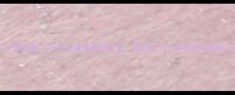 图片 ✨中国民航飞行员心理健康现状全｜职业压力与自我调适指南🌟2