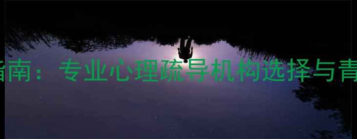 图片 上海青少年焦虑抑郁干预指南：专业心理疏导机构选择与青少年心理健康维护全攻略1