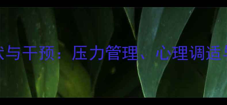 图片 博士心理健康现状与干预：压力管理、心理调适与职业发展全攻略