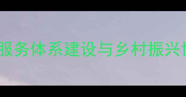 图片 基层心理健康服务体系建设与乡村振兴协同发展研究1