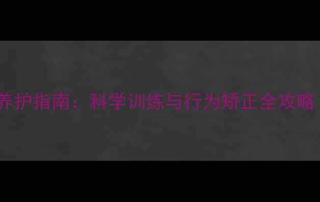 图片 幼犬心理健康养护指南：科学训练与行为矫正全攻略（家长必读）2