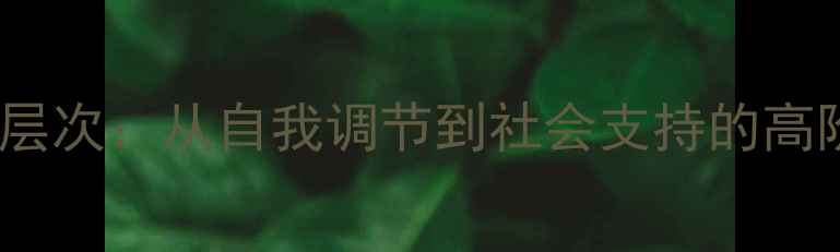 图片 心理健康五层次：从自我调节到社会支持的高阶成长指南2