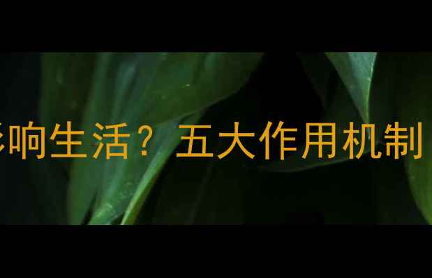 图片 心理健康如何影响生活？五大作用机制（附实操指南）