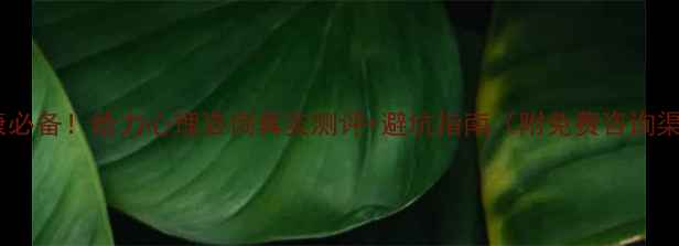 图片 心理健康必备！给力心理咨询真实测评+避坑指南（附免费咨询渠道）💡2