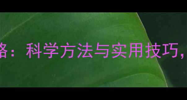 图片 心理健康护理全攻略：科学方法与实用技巧，助你提升心理韧性