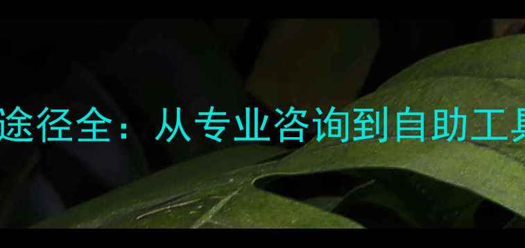 图片 心理健康支持途径全：从专业咨询到自助工具的完整指南1