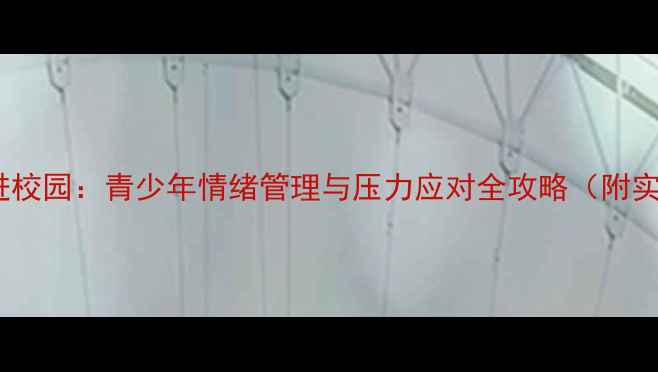 图片 心理健康教育进校园：青少年情绪管理与压力应对全攻略（附实用课程方案）1